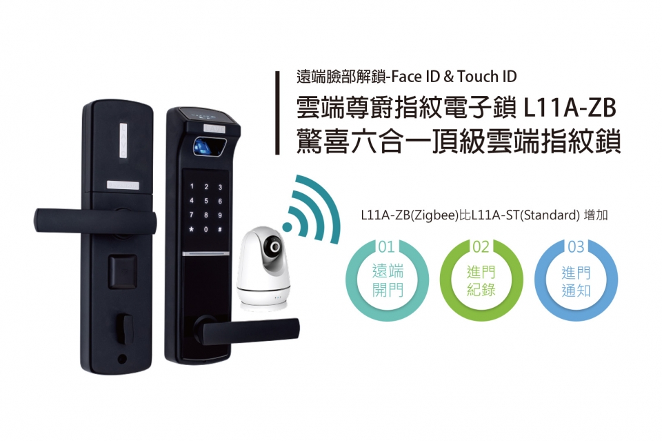 ZB企鵝介紹 ZB企鵝介紹