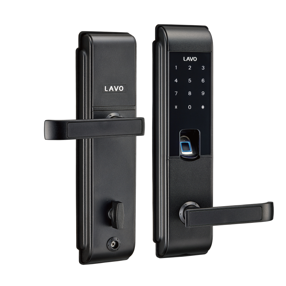 L31